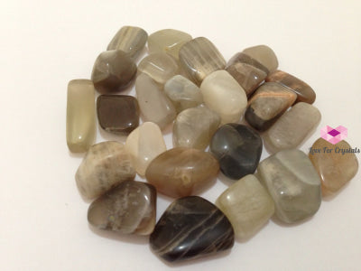 Golden Sheen Obsidian Mexico (Per Pack) Tumbled Stones