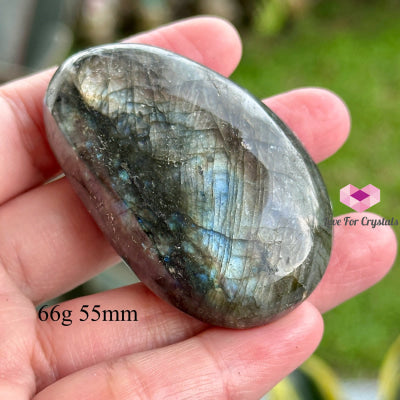 Labradorite Palm Stone (Madagascar) 66G 55Mm Crystal Points