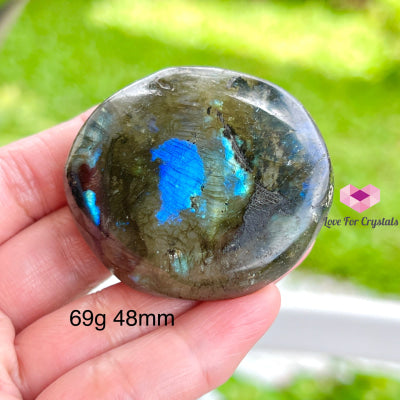 Labradorite Palm Stone 69G 48Mm Crystal Points