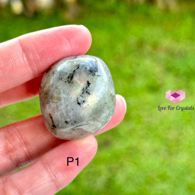 Labradorite Pebbles (Madagascar) Photo 1 Tumbled Stone Crystals