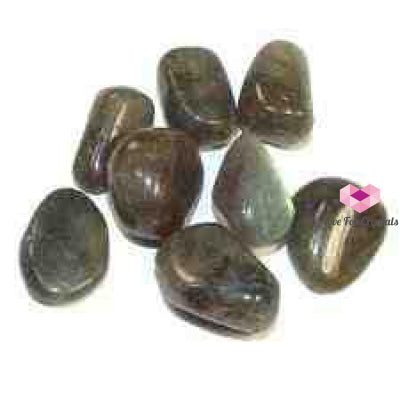 Labradorite Tumbled (Pack Of 4) Stones