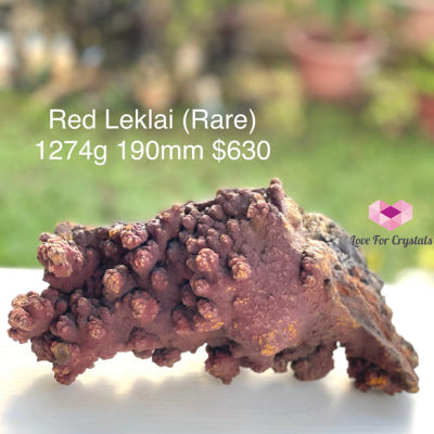 Leklai (Goethite Iridescent) Thailand (Aaa) 1274G 190Mm (Red Rare) Raw Stones