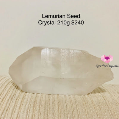 Lemurian Seed Crystal (Brazil)