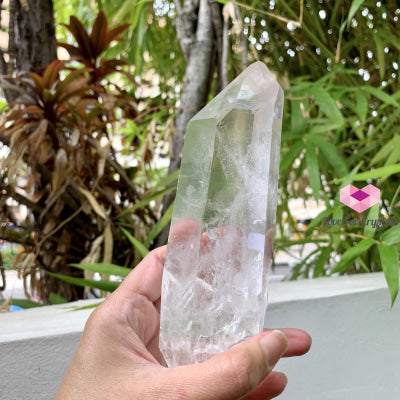 Lemurian Seed Crystal (Brazil)