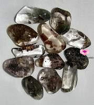 Lodolite (Per Pack) 10-30Mm Tumbled Stones