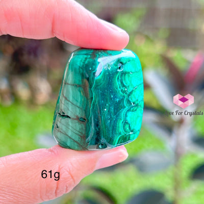 Malachite Tumbled (Congo) Aaa 40-50Mm 61G Polished Tumbled Crystals