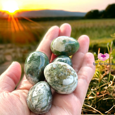 Moss Agate Tumbled Pebbles (30Mm) Per Piece (Money Grows) Stone Crystals