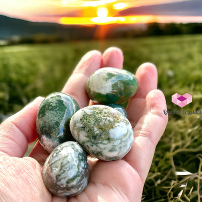 Moss Agate Tumbled Pebbles (30Mm) Per Piece (Money Grows) Stone Crystals