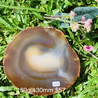 Natural Brazilian Agate Slices (Brazil) 189G 130Mm