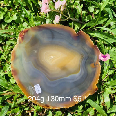 Natural Brazilian Agate Slices (Brazil) 204G 130Mm