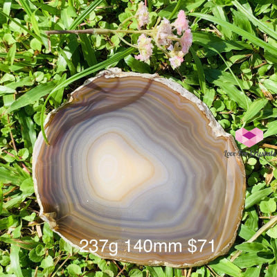 Natural Brazilian Agate Slices (Brazil) 237G 140Mm