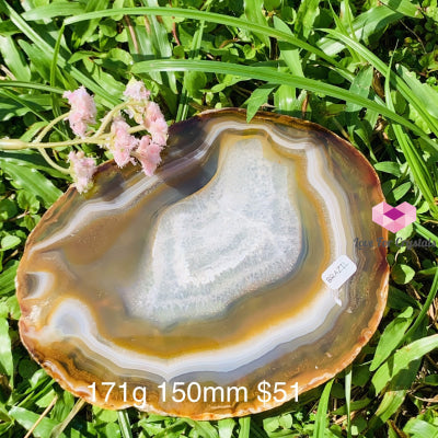 Natural Brazilian Agate Slices (Brazil) 171G 150Mm