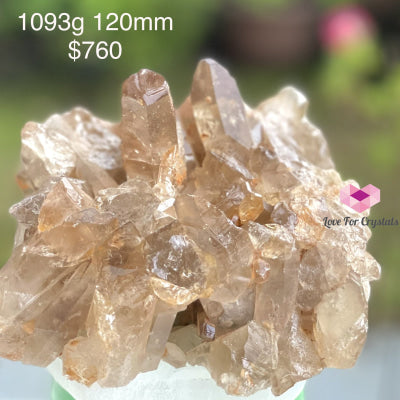 Natural Citrine Cluster (Brazil) All-Natural Not Heated (Aaa) Rare! Wealth Activator! Money Magnet!