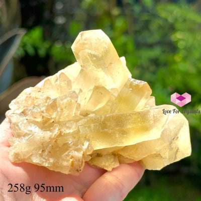 Natural Citrine Clusters (Aa Grade) Money Magnet Wealth Activator (Mineral Gallery) 258G 95Mm