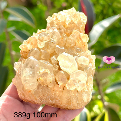 Natural Citrine Clusters (Aa Grade) Money Magnet Wealth Activator (Mineral Gallery) 389G 100Mm