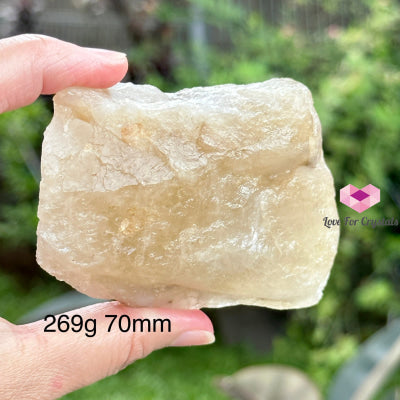 Natural Citrine Raw (Brazil) Rare! Money Magnet Stones