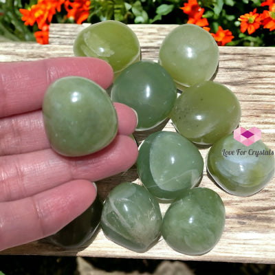 Nephrite Jade Tumbled (Canada) Per Piece Aa Grade 25Mm (Random) Stone Crystals