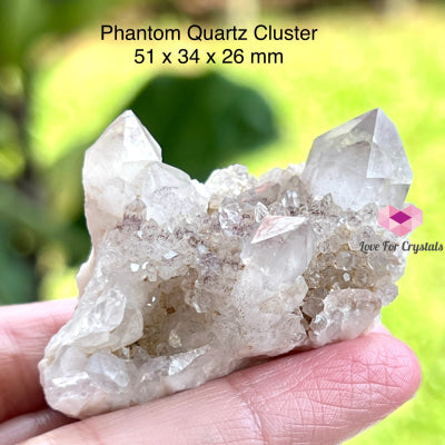 Phantom Quartz Cluster (South Africa) Collectors 51 X 34 26 Mm Raw Crystals