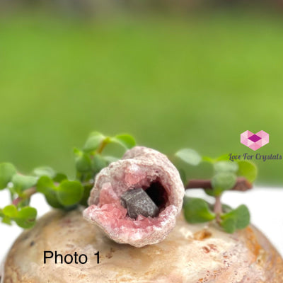 Pink Amethyst Druse Mini Geode (Argentina) Raw Crystals