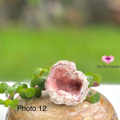 Pink Amethyst Druse Mini Geode (Argentina) Raw Crystals