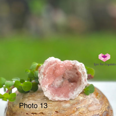 Pink Amethyst Druse Mini Geode (Argentina) Raw Crystals