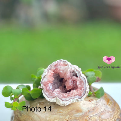 Pink Amethyst Druse Mini Geode (Argentina) Raw Crystals