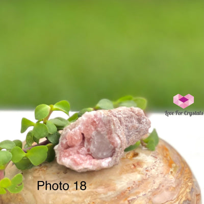 Pink Amethyst Druse Mini Geode (Argentina) Raw Crystals