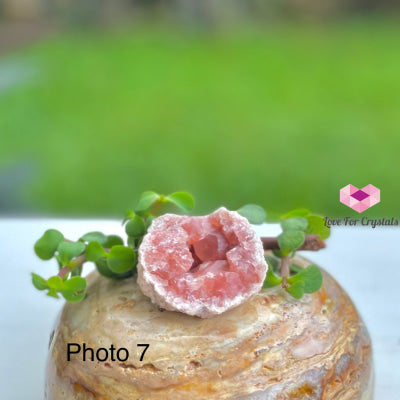 Pink Amethyst Druse Mini Geode (Argentina) Raw Crystals