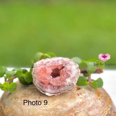 Pink Amethyst Druse Mini Geode (Argentina) Raw Crystals