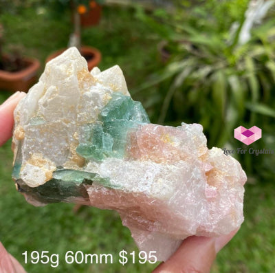 Pink And Green Tourmaline In Lepidolite Quartz Mica (Brazil) Collectors Aaa 195G 80Mm Raw Stones