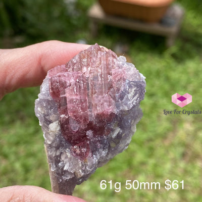 Pink And Green Tourmaline In Lepidolite Quartz Mica (Brazil) Collectors Aaa 61G 50Mm Raw Stones