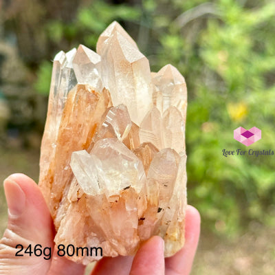 Pink Lemurian Abundance Quartz (Mineral Gallery) Brazil Crystals