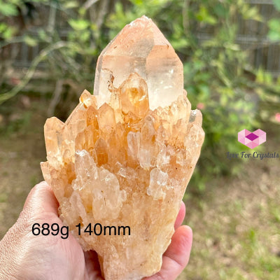 Pink Lemurian Abundance Quartz (Mineral Gallery) Brazil Crystals