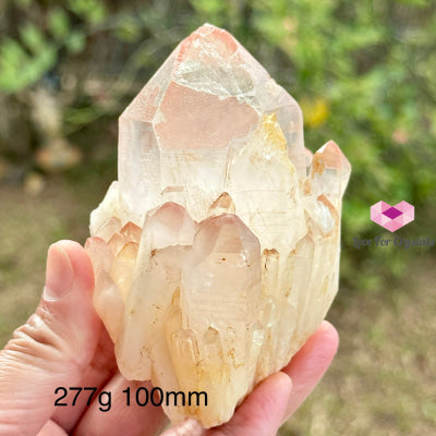 Pink Lemurian Abundance Quartz (Mineral Gallery) Brazil Crystals