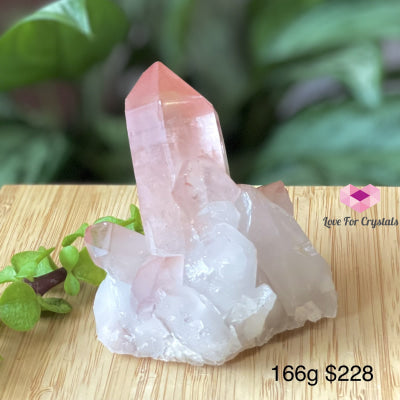 Pink Scarlet Lemurian Seed Cluster (Brazil) 166G 60Mm Raw Stones