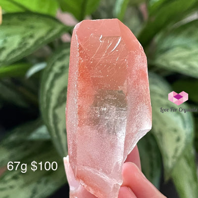 Pink Scarlet Lemurian Seed Point (Brazil) Aaa (Rare) Raw Stones