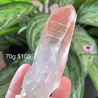 Pink Scarlet Lemurian Seed Point (Brazil) Aaa (Rare) Raw Stones