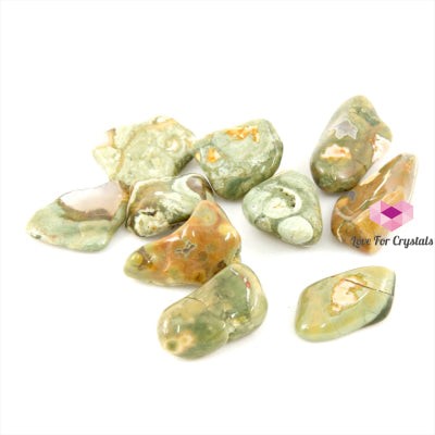 rainforest jasper