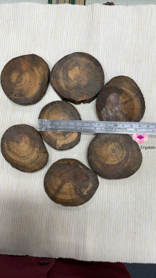 Raja Kayu Wood Slice (Per Piece) Raw Stones