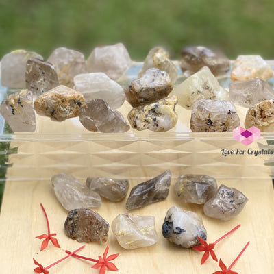 Rutilated Quartz Tumbled (Brazil) Stones