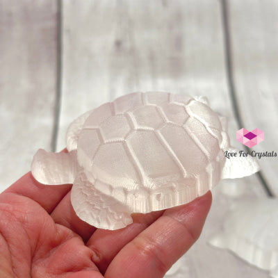 Selenite Carved Turtle 7Cm Crystals