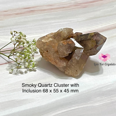 Smoky Quartz Crystal With Inclusion (South Africa) Collectors 68 X 55 45 Mm