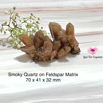 Smoky Quartz On Feldspar Matrix (South Africa)Collectors Raw Crystals