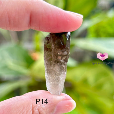 Smoky Quartz Raw Points (Brazil) Crystals