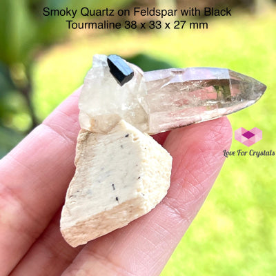 Smoky Quartz With Black Tourmaline On Feldspar Matrix (South Africa) Collectors 38 X 33 27 Mm