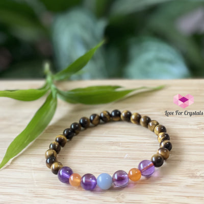 Study & Focus Bracelet (Tigers Eye Amethyst Carnelian Angelite) Bracelets Bangles