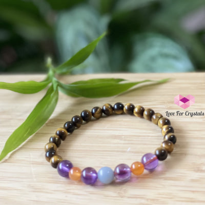 Study & Focus Bracelet (Tigers Eye Amethyst Carnelian Angelite) Size 6 Bracelets Bangles