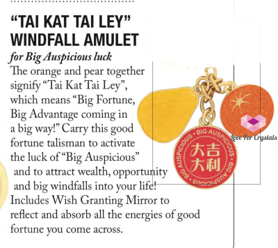 Tai Kat Ley Windfall Amulet Keychain (Feng Shui 2024)For Big Fortune Feng Shui 2024