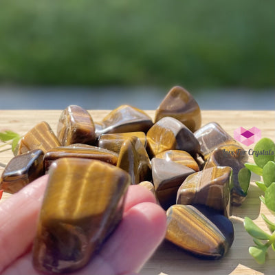 Tigers Eye Tumbled (South Africa) Stones