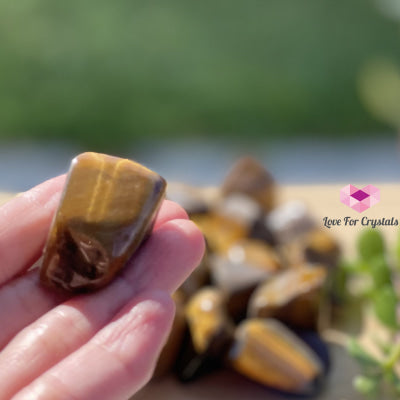 Tigers Eye Tumbled (South Africa) Stones